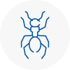Ant Removals In Selston