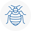 Bed Bug Extermination In Selston