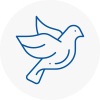 Bird Prevention Selston