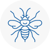 Selston Hornet Nest Removals