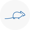 Mice Exterminators In Selston