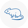 Rat Control Selston