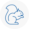 Selston Rodent Removals